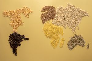 World map made of grains